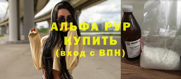 СК Алексин