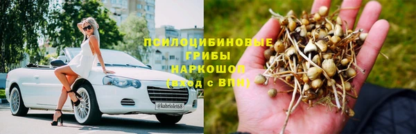 тгк Алзамай