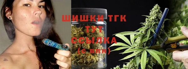 тгк Алзамай