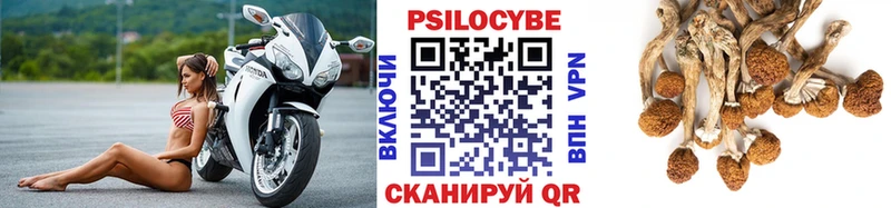 где купить наркотик  дарк нет как зайти  МЕГА   Галлюциногенные грибы мухоморы  Ачинск 